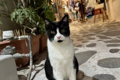 IMG_4750