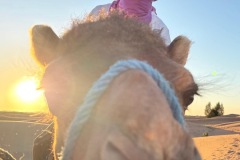 dea06fbe-8370-4104-a735-b4c4954db7a3