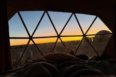 e7e8c9de-4164-4383-87a8-1fa57f5fe803