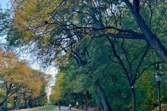 WhatsApp-Image-2025-12-21-at-19