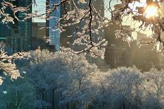 WhatsApp-Image-2025-12-21-at-41