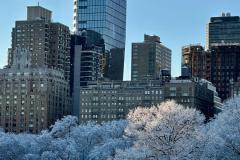 WhatsApp-Image-2025-12-21-at-42