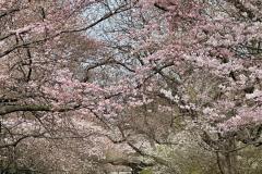 WhatsApp-Image-2025-12-21-at-63