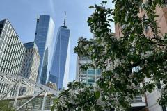 WhatsApp-Image-2025-12-21-at-70