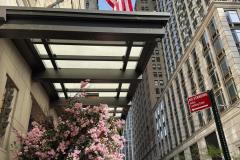 WhatsApp-Image-2025-12-21-at-71