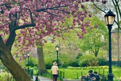NYC-2026-25-of-115