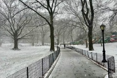NYC-2026-5-of-115