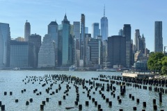NYC-2026-89-of-115