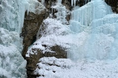 IMG_0337