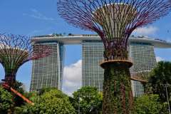 PHOTO-2025-12-07-18-28-48-7