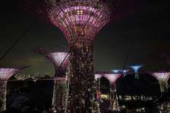 PHOTO-2025-12-07-18-28-49