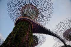 PHOTO-2025-12-07-18-28-50-2