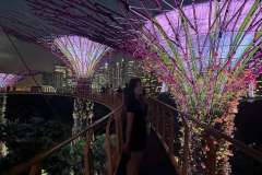 PHOTO-2025-12-07-18-28-50-3