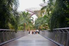 PHOTO-2025-12-07-18-28-51-5