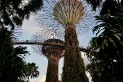 PHOTO-2025-12-07-18-28-51-6