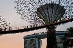 PHOTO-2025-12-07-18-28-51-7