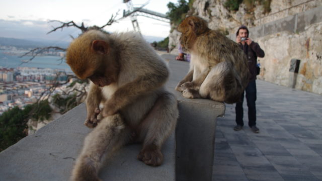 Gibraltar